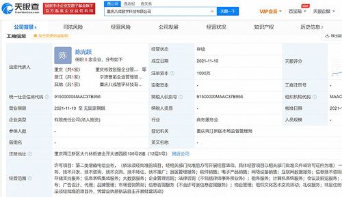 豬八戒網成立新公司，注資千萬加碼互聯網數據服務